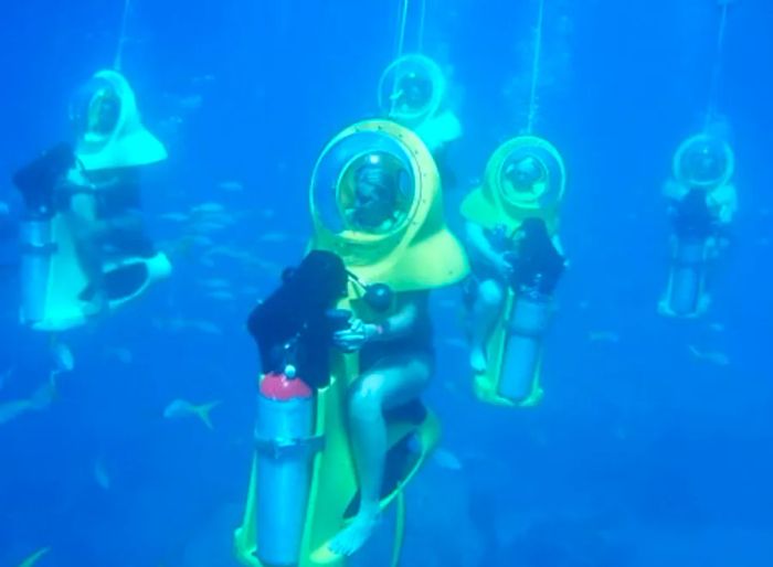 a group of visitors operating B.O.S.S. equipment underwater in St. Thomas