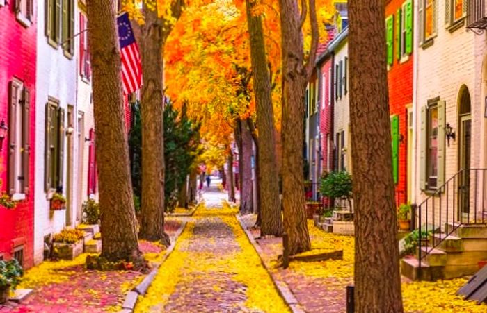 Cobblestone street in Norfolk, VA, with golden leaves drifting from the trees