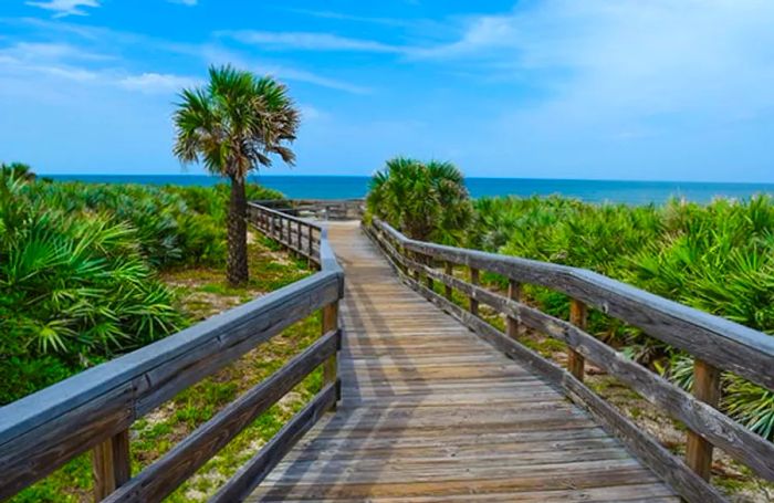 Boardwalk at Canaveral National Seashore