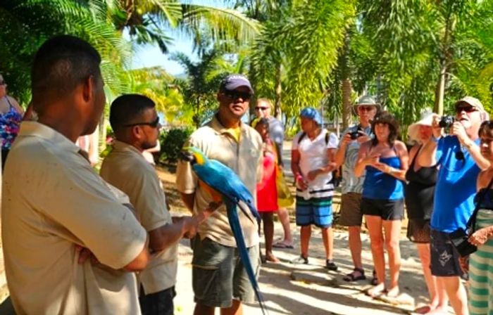 a group of people on a Roatán tour observing an exotic bird