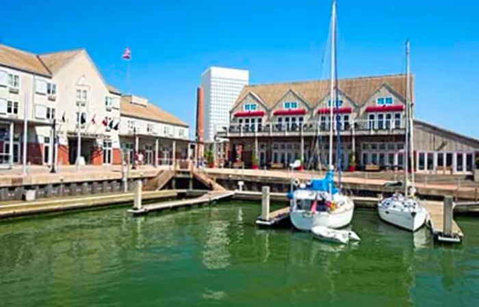 harbor in Galveston