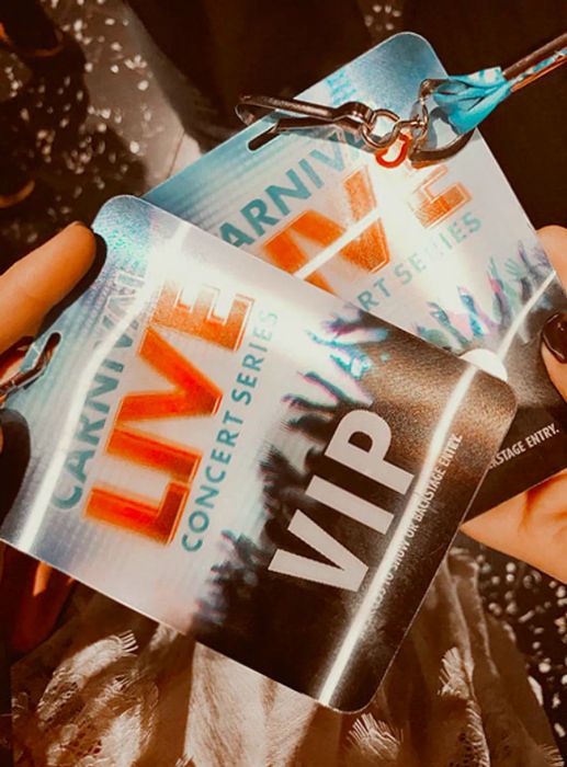 Noelle’s VIP passes for Dinogo Live