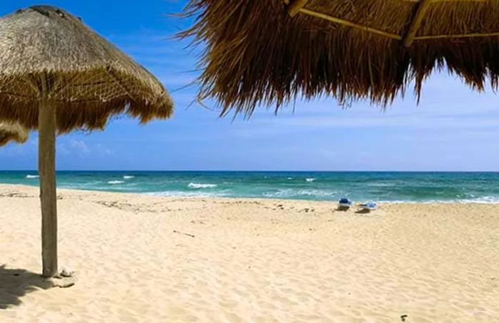 Tiki beach umbrellas in Cozumel, Mexico