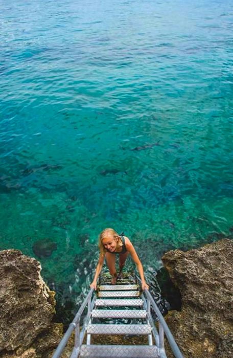 Hailey descending a ladder into the ocean