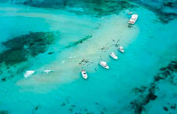 Aerial view of Stingray City