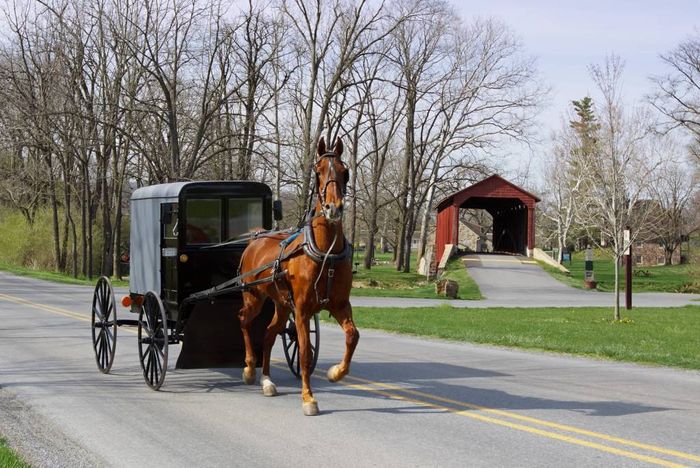 An Amish horse and carriage makes its way down a rural road in Lancaster County, Pennsylvania. (Photo by Delmas Lehman)