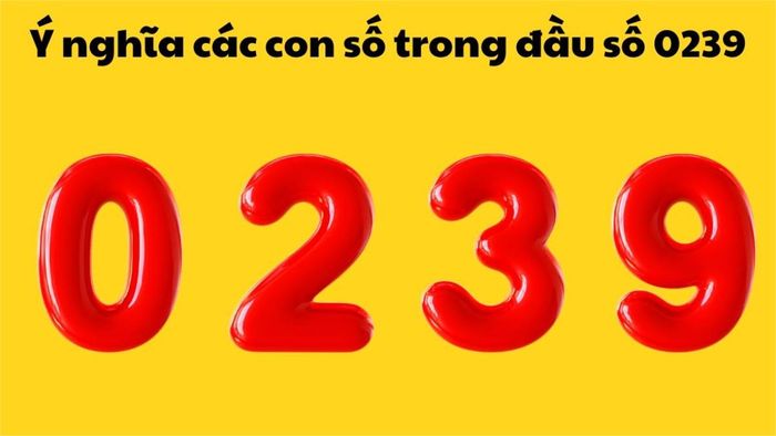 Đầu số 0239 là gì và ý nghĩa của nó như thế nào?