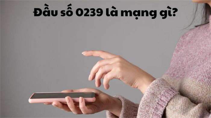 Đầu số 0239 thuộc mạng nào?