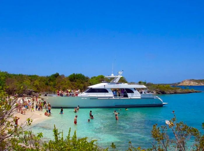 Guests enjoying a swim and beach fun while a luxury catamaran is docked at Green Island.