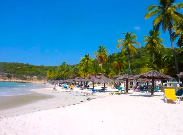 Wooden umbrellas and beach chairs neatly arranged along Dickenson Bay Beach in Antigua.