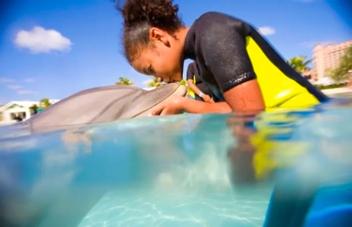 a girl giving a dolphin a kiss