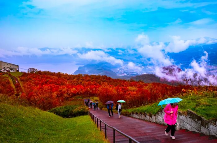 Visitors stroll through vibrant orange foliage towards a mountain viewpoint in Showa-Shinzan, located in Shikotsu-Toya National Park