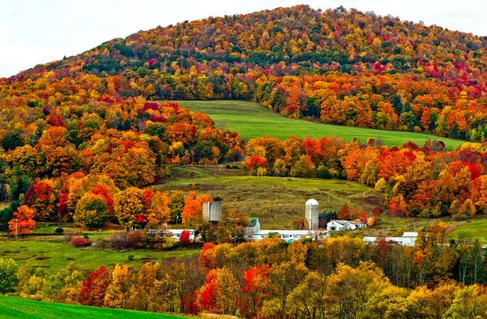 A vibrant hill adorned with red, yellow, and orange trees rises above a foreground of white farm buildings.