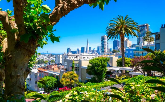 A scenic view of downtown San Francisco framed by trees, with the Transamerica Pyramid visible in the distance as seen from Lombard Street.