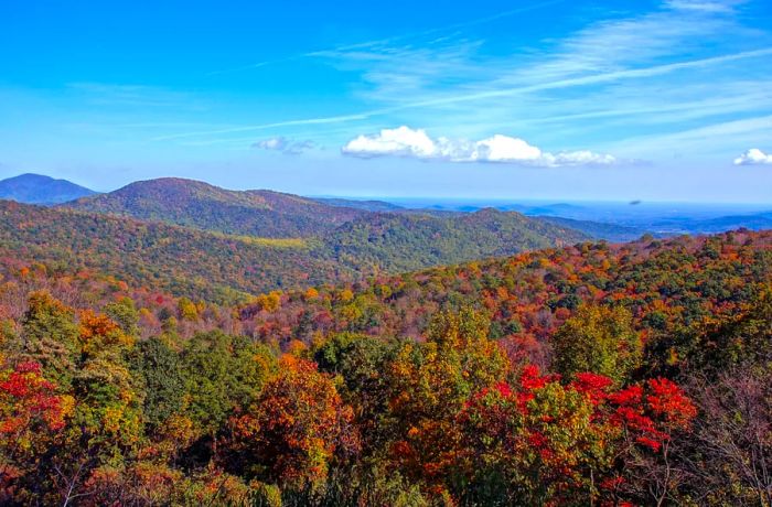 Gentle mountains covered in red and green trees beneath a blue sky with fluffy white clouds