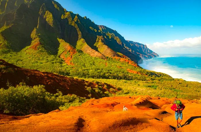 A hiker traversing the Kalalau Trail, surrounded by dramatically ridged green mountains and the ocean on the right