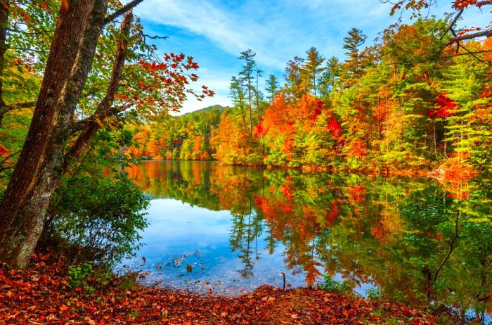 Autumn foliage mirrored on the surface of a tranquil lake