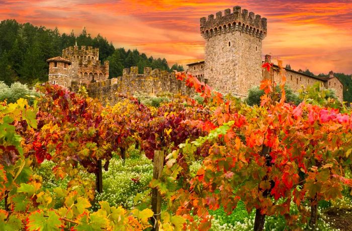 A Tuscan-style castle set among a vineyard, leaves tinged with autumn red and green