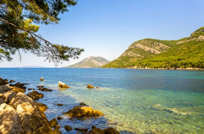 Clear, shallow waters along the rocky shores of the Pelješac peninsula in southern Dalmatia, framed by green hills in the distance.