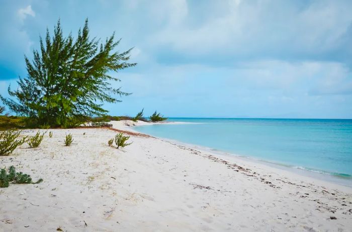 Discover one of Anegada’s unspoiled beaches