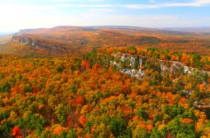 Vibrant fall foliage adorns the trees at Shawangunk Ridge in the Hudson Valley, a ridge that slices through the treetops.