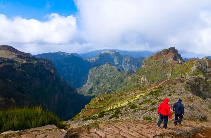 Hikers exploring a mountain trail