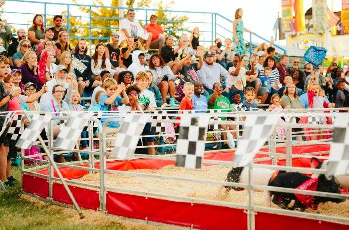 Oklahoma State Fair