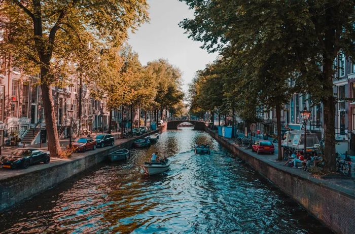 A picturesque canal in Amsterdam, bordered by trees and charming row houses, with small boats navigating the waters and docked along the banks.