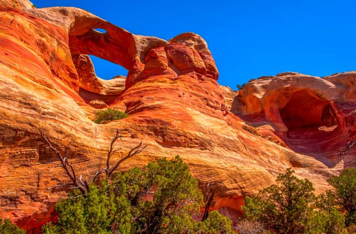 Vivid red rock arches set against a deep blue sky in Rattlesnake Canyon, Colorado