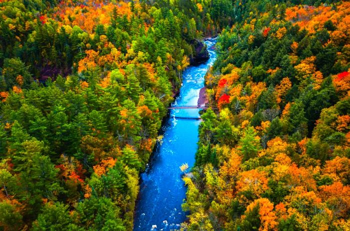 A vibrant forest featuring trees in shades of green and yellow, divided by a clear blue river, located in a Wisconsin state park.