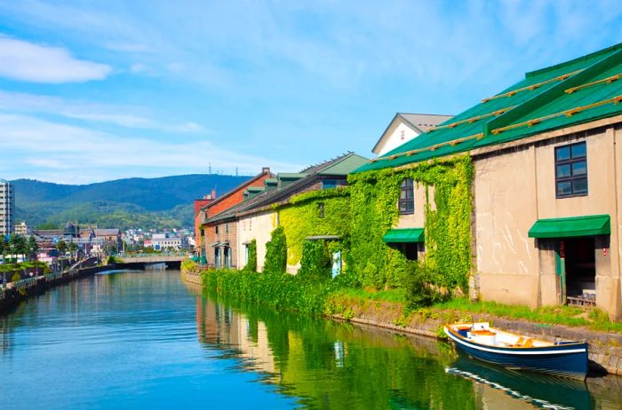 A picturesque canal in Otaru, Japan, lined with small buildings, some draped in lush vines on the right side