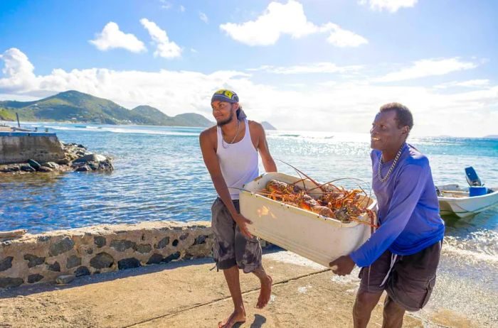 Freshly caught spiny lobster can be found at numerous local eateries in the British Virgin Islands.