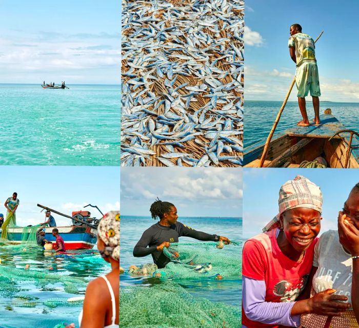 A collection of images depicting locals engaged in net fishing in Mozambique.