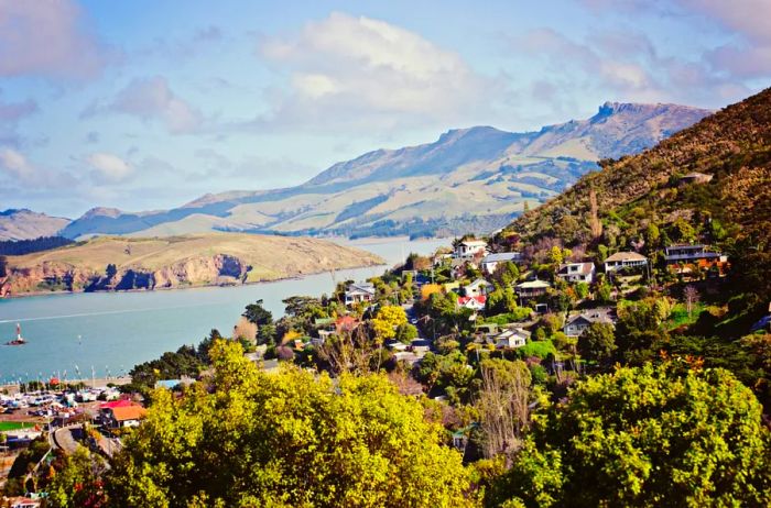 Houses dotting the hills of Christchurch, New Zealand.