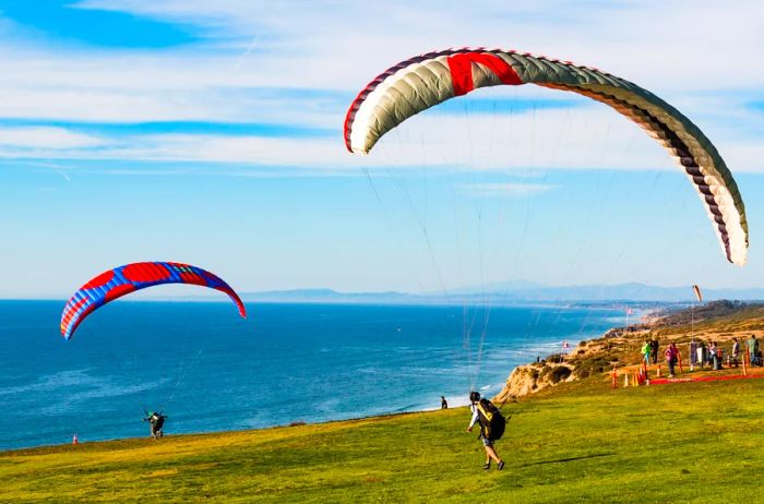 Paragliders soaring at the Torrey Pines Gliderport.