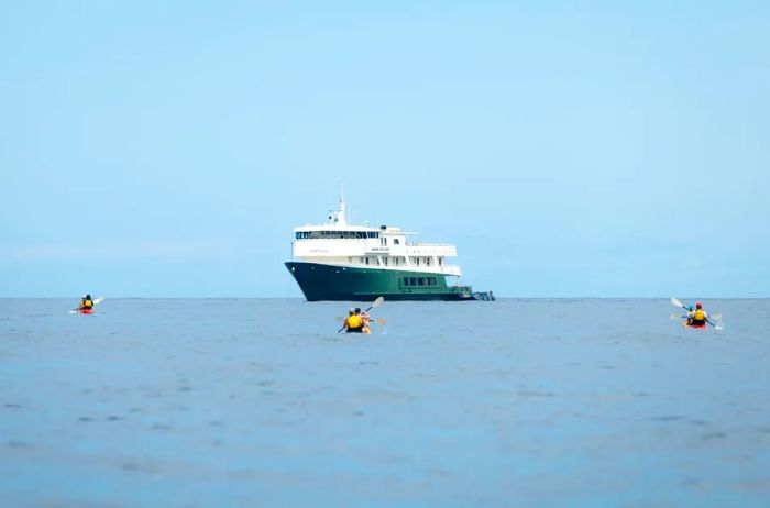 Kayakers make their way back to the 36-passenger <i>SDinogoi Explorer</i>