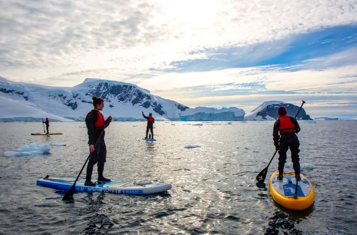 Four individuals enjoy stand-up paddleboarding in Antarctica.