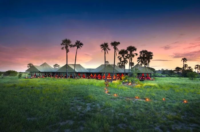 A distant view of Jack's Camp, a tented getaway set in the grasslands, surrounded by palm trees.