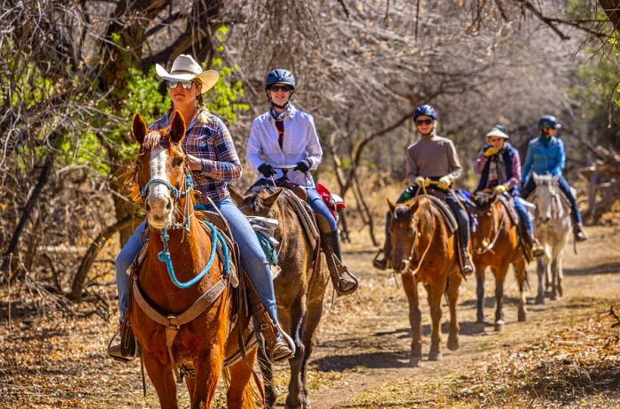 A group of individuals riding horseback along a trail at Circle Z Ranch in Patagonia.