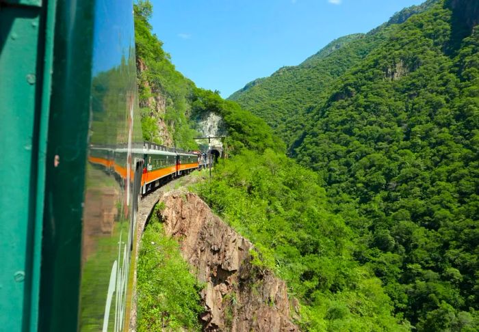 A green train enters a tunnel nestled among forested mountains.