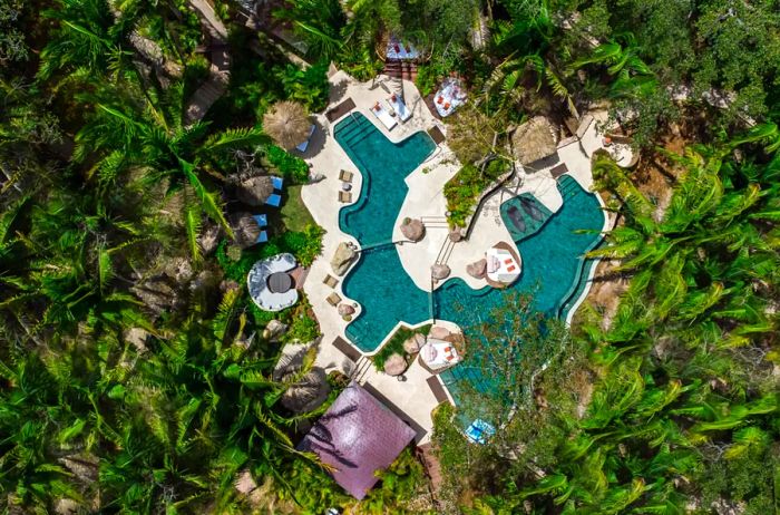 Aerial view of a sprawling, winding pool enveloped by lush jungle.