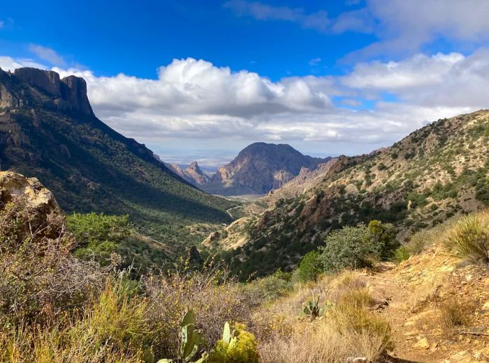 Forested mountain peaks and hills at Big Bend NP