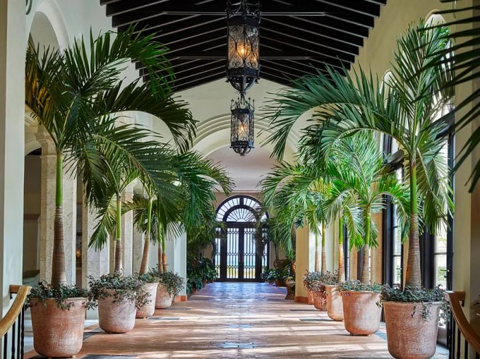 A corridor at the Four Seasons Surf Club, featuring white walls, lofty ceilings, and palm trees.