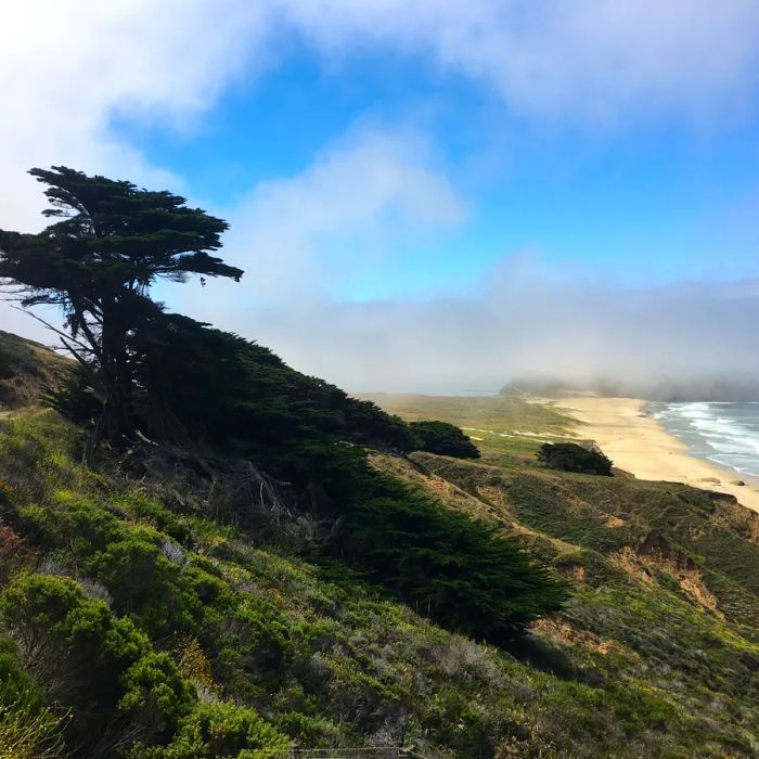 The stunning coastline of California's central coast, featuring a distant beach.