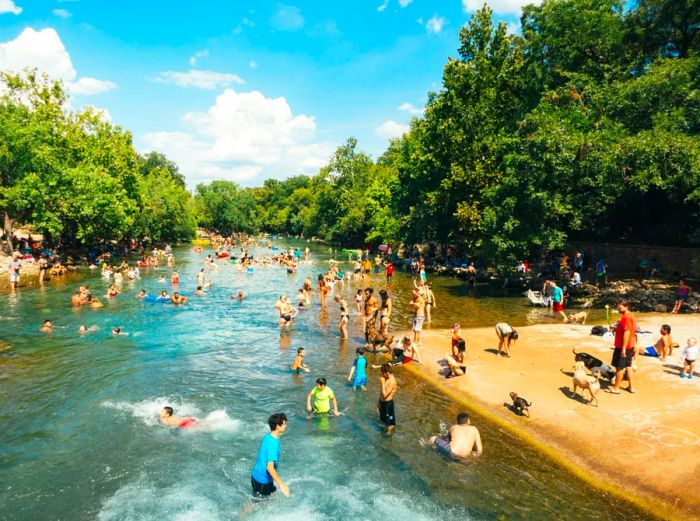 The Barton Springs natural cold-spring public pool, bustling with swimmers enjoying the refreshing water.