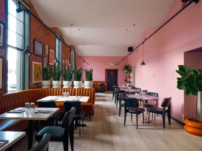 A dining area with pink walls adorned with potted plants and unoccupied brown leather banquettes.