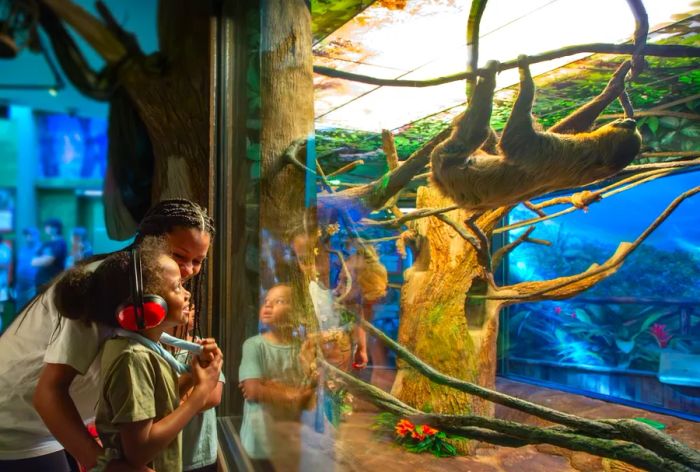 A mother and her children beaming as they observe the Sloth Valley at Ripley’s Aquarium in Myrtle Beach, South Carolina.