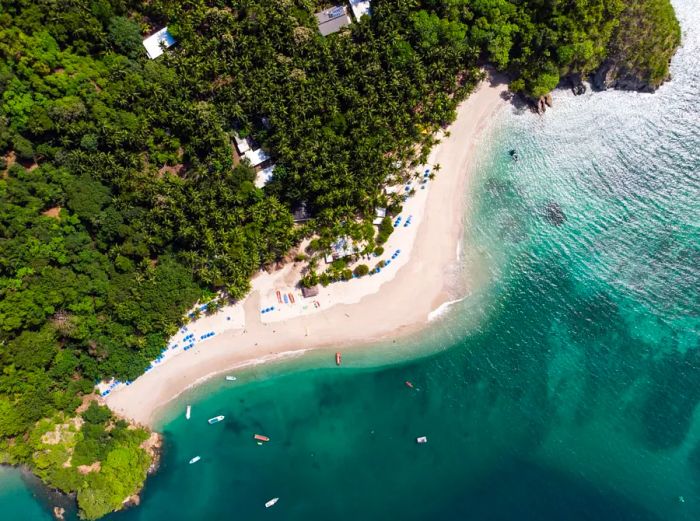 Bird’s-eye view of a beach surrounded by lush forest