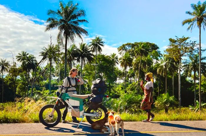 Roadside pause, with palm trees in the backdrop