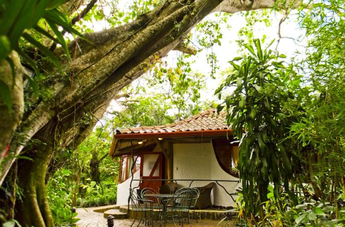 Exterior view of a guest room at Finca Rosa Blanca, enveloped by lush greenery